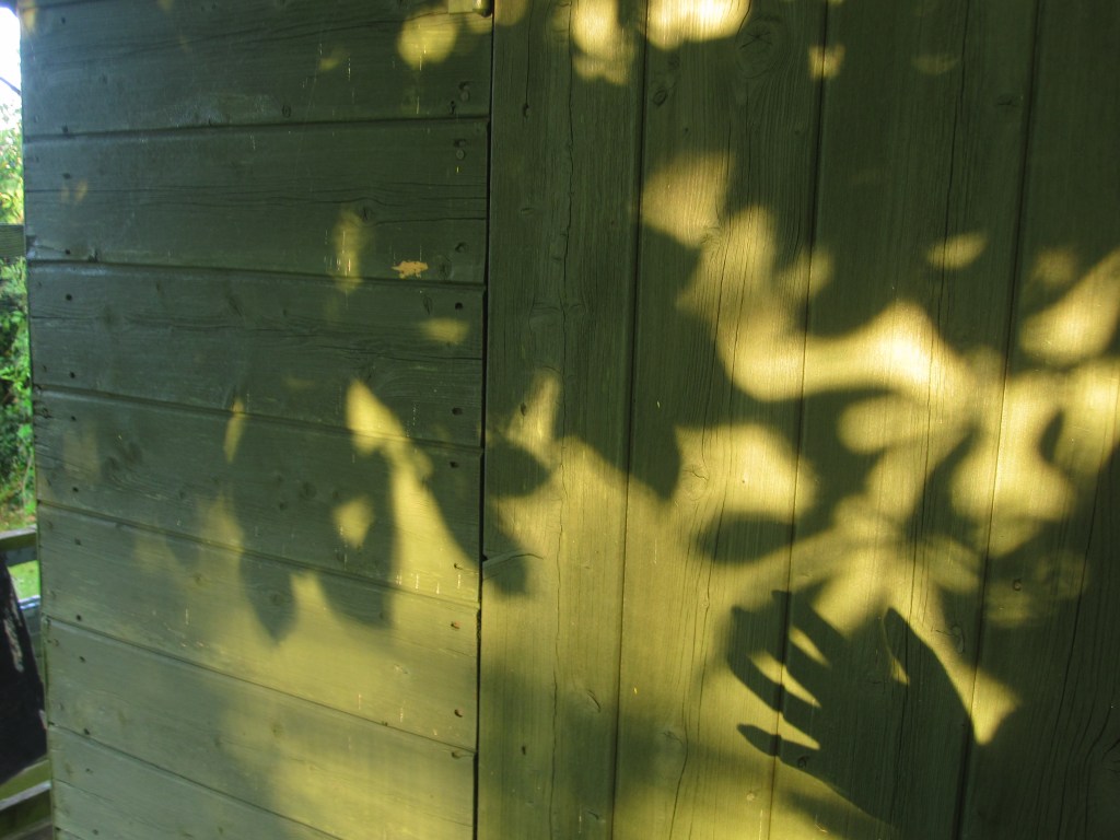 I remembered a memory of a sister admonishing in my direction “Let’s get away from her!”