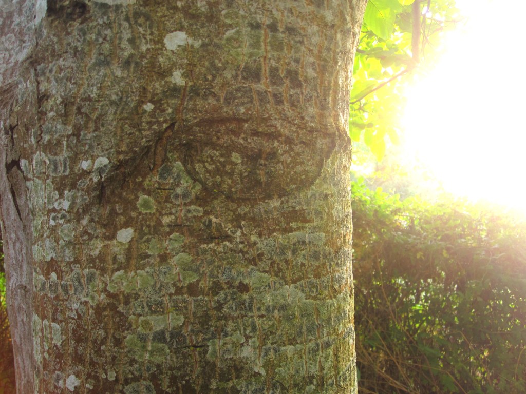 Self-inquiry; release on warranting punishment.