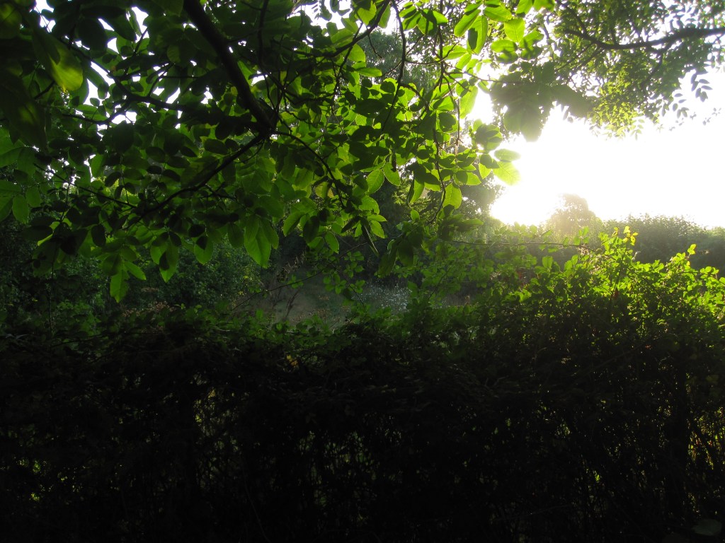 The following is all inquiry on ‘decision to split’; initially with the desire to ‘place a division between myself and myself’. It includes accepting emotions previously judged, or projected; reclaiming authority, and letting go of victimhood.