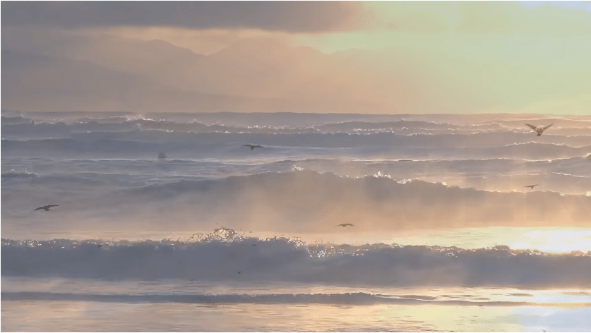 Peace, joy; happiness are not found in space and time. Peace, joy; happiness are kept in eternity only.